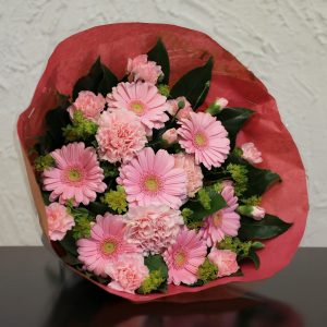Germinikimppu 14
