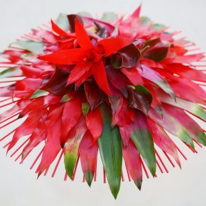 Kimppu timanttiananaksesta